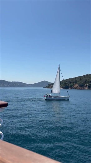 Sailing Into Freedom ⛵🌊