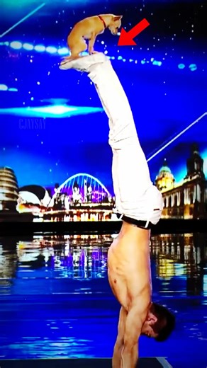 The Cutest Acrobat Duo Ever! 🤸‍♂️🐾