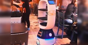 This Montreal restaurant has Quebec's first 'robot busser' (VIDEOS) | Business & Tech