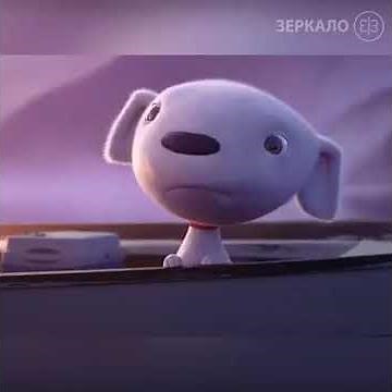 O Poder da Empatia e da Gratidão