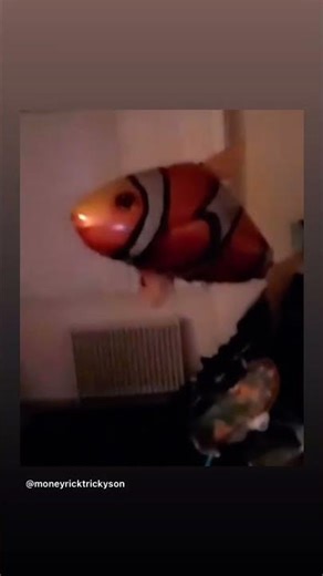 Got the animals in the hood flying fish and all its #trickyson #rahrahshow