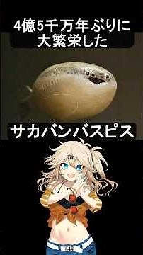 【サカバンバスピス】 4億5千万年ぶりに大繁栄した #解説 #古生物 #超かぐや姫
