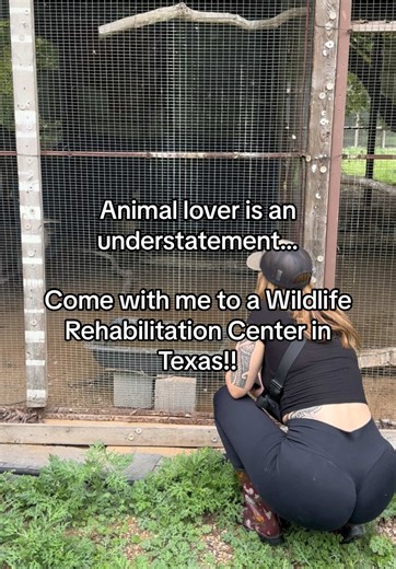 Visiting a Wildlife Rehabilitation Center in Texas