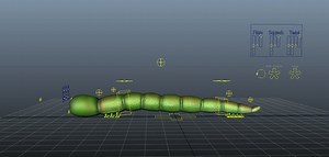 Worm Rig + Download