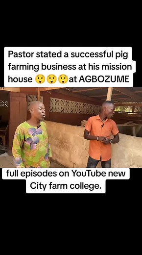 Successful Pig Farming Guide by Pastor in Agbozume