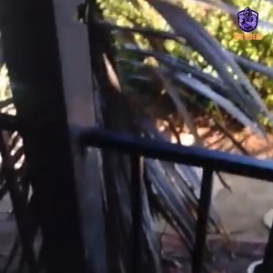 19K views · 249 reactions | Best of CPS getting owned | Alyssa Shopppp | Facebook