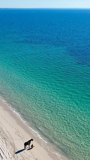 7.6K views · 194 reactions | Immerse yourself in edition no 7 of the @equestrienne_magazine 懶, coming soon! #horses #equestrianstyle #equestrianlife #horselover #horselove #equestrianmagazine #horselifestyle #equestrianluxury | My Pilbara Equestrian Life | Facebook