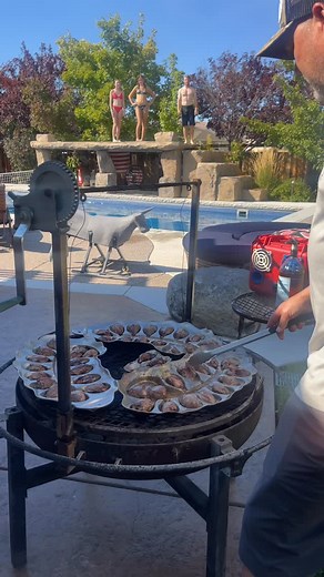 The Fowl Life on Instagram: "Just doing what David Lee Roth tells us to do! And for real, this is the best way no doubt to cook wild dove, quail, pheasant, chuckar, and for all you real hunters out there, haha, even some duck recipes! Getcha an Oyster Bed! Now Jump in!"