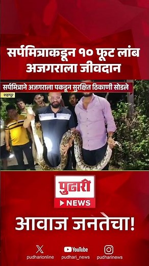 Pudhari News | सर्पमित्राकडुन 10 फूट लांब अजगराला जीवदान