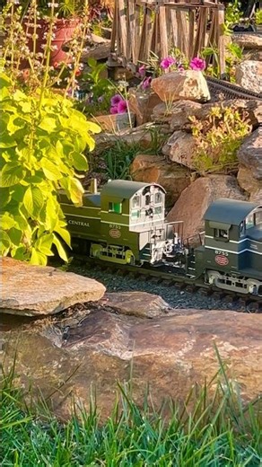 Garden railway: twin NW2s lead the way through the garden. #gardenrailway #gscale #modelrailway