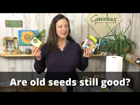 How to Tell If Old Seeds Are Still Good