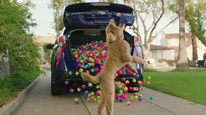 Pack in more fun, with up to 27.4 cu. ft. of cargo space. | Toyota USA