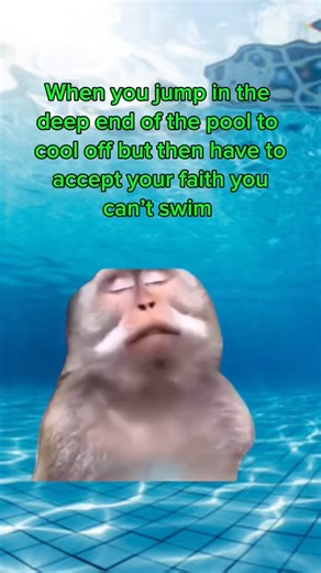 Solar Pool Ionizer on Instagram: "When you jump in the deep end thinking you’re Michael Phelps… then remember you can’t even float 💀💦 I swear the deep end humbles you FAST 😂🐒 Pool season really got us risking our lives for 3 seconds of “cooling off.” #swimmeme #poolfails #funnyreels #swimlife #deepend #summerfails #poolhumor #relatablememes #swimmerproblems #summervibes #viralreels"