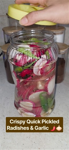 How to Make Crispy Quick Pickled Radishes & Garlic | Easy Apple Cider Vinegar Pickle Recipe 🧄🌶️
