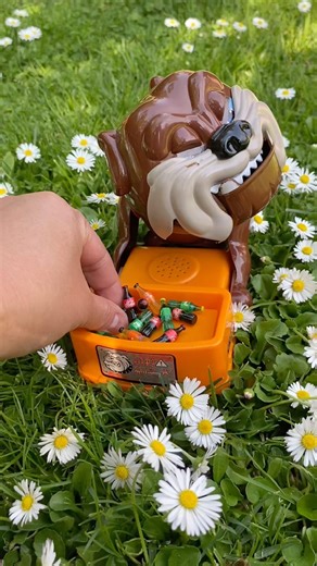 Mad dog angry sounds #asmr #funny #satisfying #shorts