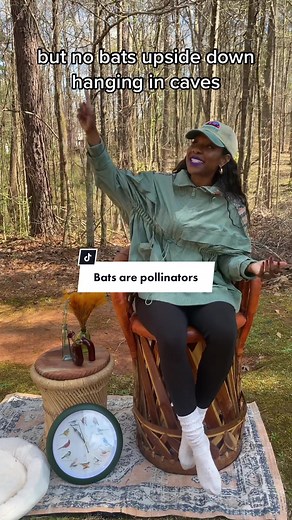 Discovering Bats as Pollinators