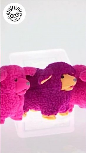 ¡Oveja! | @BabyEinsteinenEspanol | #Shorts