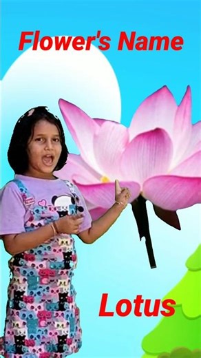 Learn Flower's Name Lotus, Poppy, Rose 🌹🌻| Flower's Name | #shortsfeed #shorts #flowers |