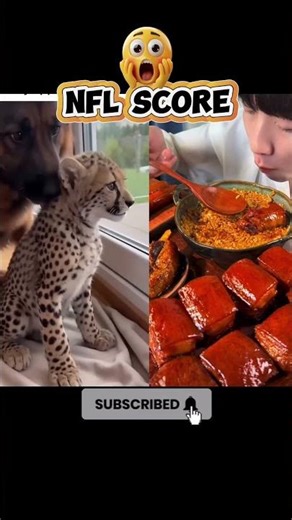 A range saved a Lost Cheetah Cub #short #animal