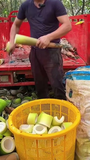 Satisfying Bamboo Shoot Cutting