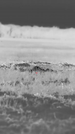 265K views · 6.3K reactions | That was unexpected 樂 #hunting #hoghunting #feralhogs #Hunting #Hunt #HuntingLife #HuntingSeason #HuntingCommunity #Hunter #HuntingAdventure #HuntingGear #BowHunting #RifleHunting #HuntingPassion #HuntingSports #WildlifeHunting #GameHunting #HuntingDog #OutdoorHunting #HuntingTrip #HuntingExperience #HuntingPhotography #HuntingMemories | Wild Hunting | Facebook