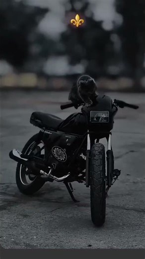 Hero Splendor Plus: Neon Modification Look! 🏍️✨