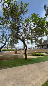 Immerse yourself in the joy of relaxing by the pool, while enjoying breathtaking views of the sea. . . ___________________ More information please contact; 🌐 Website: www.katathani.com 📩 Email : reservation@katathani.com 📞 Tel: 076 318 350 . #KatathaniPhuketBeachResort #Katathani #Phuket #กะตะธานี #ภูเก็ต #ที่พักภูเก็ต | Katathani Phuket Beach Resort