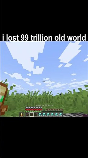 Bro really brought his entire life savings 💀 #minecraft