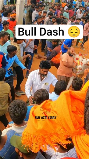 Bull Mass Entry 🔥 Super Running 💥 Rayalapuram Jallikattu 🤩 Shorts#jallikattu2025#runwithvinay