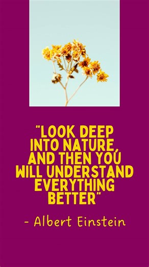 "Look deep into nature, and then you will understand everything better" - Albert Einstein Nature gives us a great deal to be thankful for. What does nature do for you? #attitudeofgratitude #letsgivethanks #thegiftsofnature | American Meadows