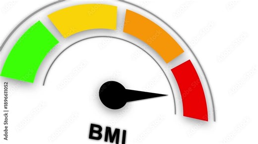 Animated BMI Level Meter Rising to High, Body Mass Index Indicator Gauge.3d video