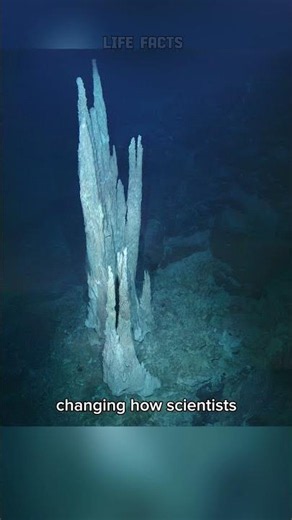 3 underwater discoveries that shocked the world