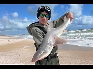 Surf Fishing up the Coorong/Salt Creek. First Cast and I got myself a nice Gummy Shark.