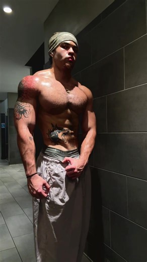 MaximusPrime (@morrmax)’s videos with sunet original - tonilk_