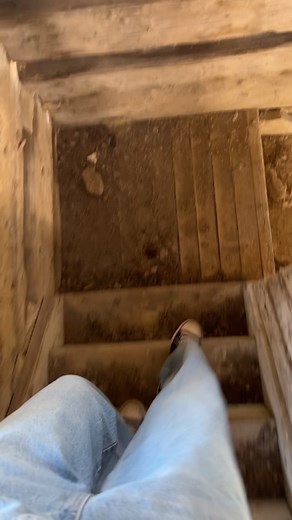 MaeDonuts on TikTok