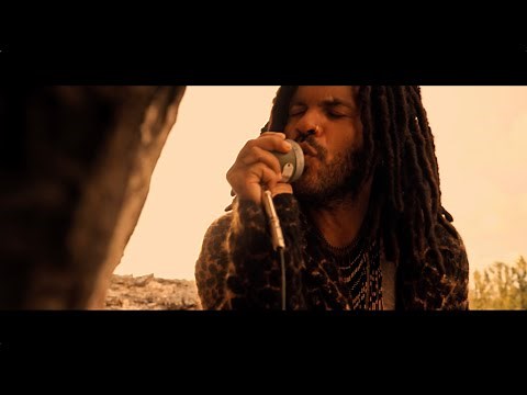 Lenny Kravitz - Raise Vibration (Official Video)