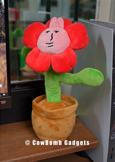 Unboxing Fun Gadgets: Dance Flower Experience