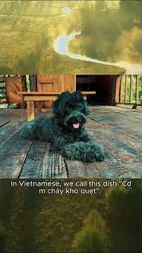 Chill Cooking Food " Cơm Cháy Kho Quẹt " part 1 #countrylifevlog #food #villagelife