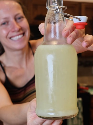 Delicious Ginger Lemon Lime Soda Recipe