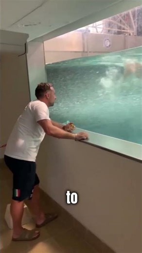 How Swimmers Train Their Strength