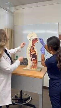 Inside Nursing Student Life at Vanguard University 🩺