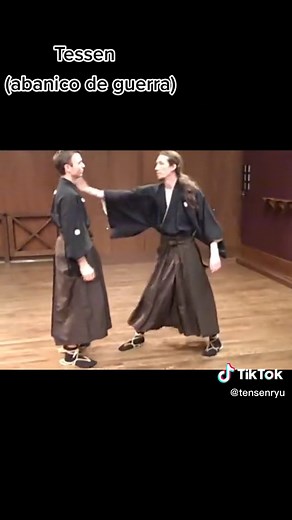 Tessen: The Japanese War Fan Weapon Explained