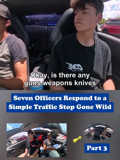 Traffic Stop Escalation: Seven Officers Respond