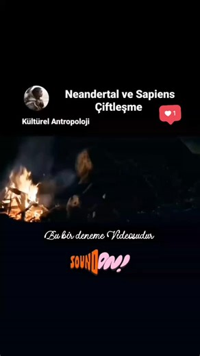 Maya 🥀💔" on Instagram: "日本利用压电瓷砖将脚步转化为电能。这些瓷砖捕捉来自你脚步的动能。当你行走时，你的重量和动作会对瓷砖产生压力。瓷砖会轻微弯曲，从而产生机械应力。瓷砖内部的压电材料将这种应力转化为电能。每一步都会产生少量电荷，而数百万步结合在一起就能产生足够的电力来驱动 LED 灯、数字显示屏和传感器。在像涩谷车站这样繁忙的地方，每天大约有 240 万个脚步为这一系统作出贡献。这些电能可以被储存或立即使用，从而减少对传统电力来源的依赖，并支持可持续的城市基础设施。这种方法将日常运动转化为实用的可再生能源 #日本 #知识 #事实 #你知道吗 #推荐 科技 创新 历史 技术 实验"