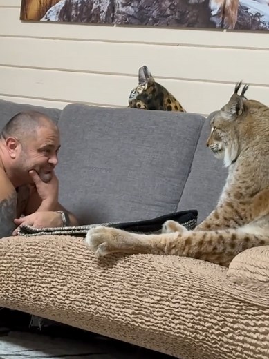 Lynx Marsel Shows Off with Daddy