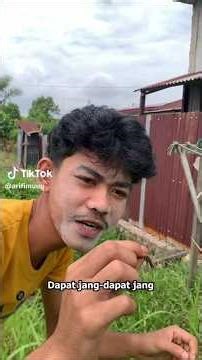 Usup cari belalang gak dibantu sama Ujang