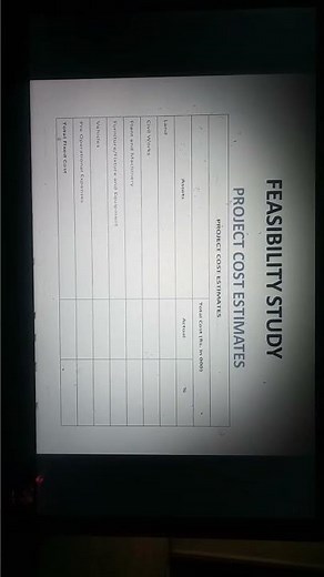 Project feasibility study