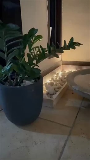 Respira, siente y disfruta... en Hacienda el Jibarito ✨️🍃 #haciendaeljibarito #sansebastiánpr #hotelpr #naturaleza | Hacienda El Jibarito