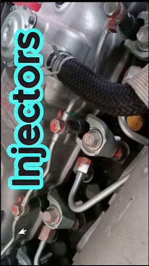 Dirty Fuel System Wasting Your Fuel? Clean It & Save Money!