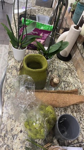 FioriGarden: A Symphony of Asian-Inspired Floral Art